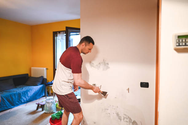 Best Affordable Mold Removal  in Wellford, SC